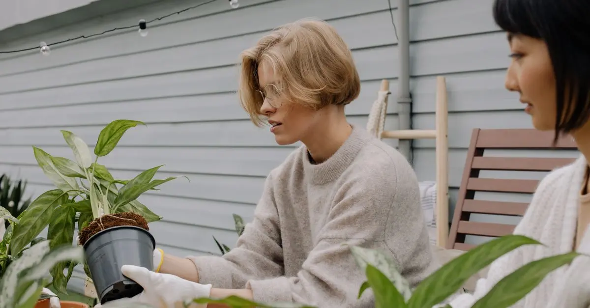 Beginner Gardening Tips: Grow Your First Garden Successfully