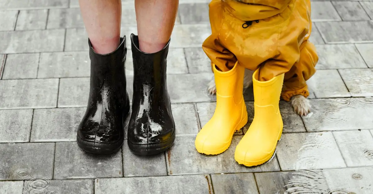 Best DIY Waterproofing Products for Home Improvement