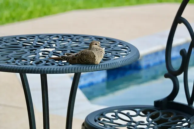 Best Patio Furniture for DIY Projects