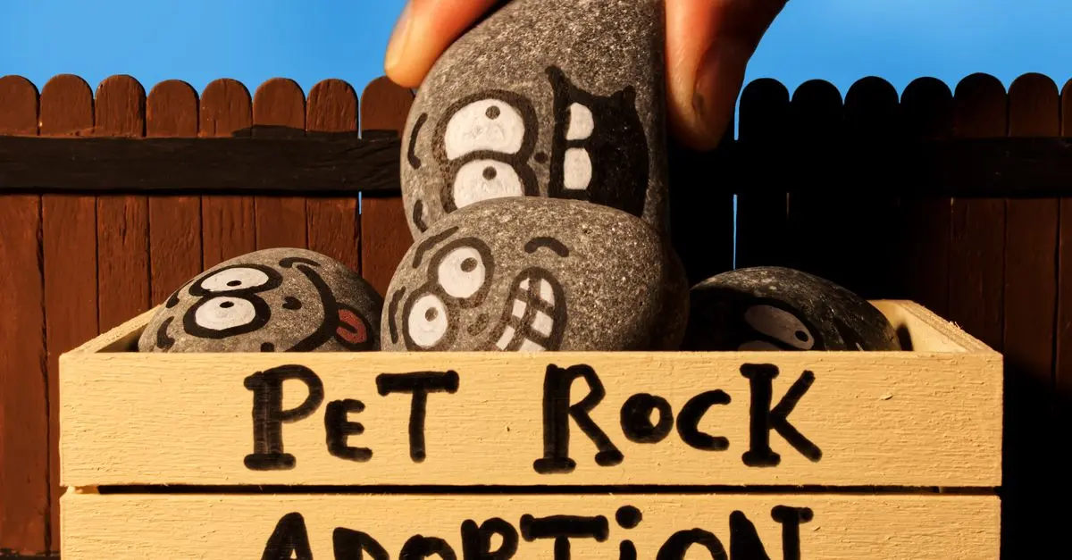 DIY Pet Projects Buying Guide: Create Joy for Your Pets